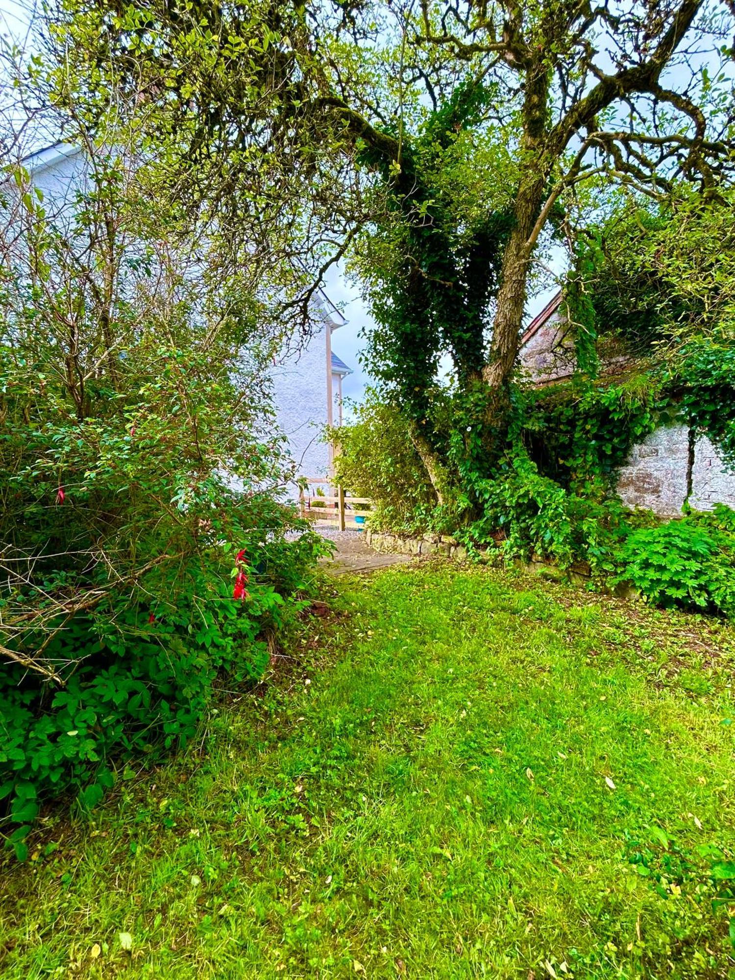 Вілла Lime Tree House Maguires Bridge Екстер'єр фото